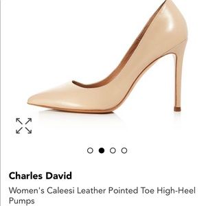 PRICE REDUCED!!! Charles David Nude Shoes